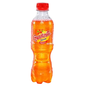 GUARANITA X 300 ML